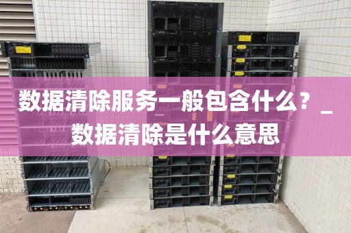 数据清除服务一般包含什么？_数据清除是什么意思