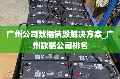 广州公司数据销毁解决方案_广州数据公司排名