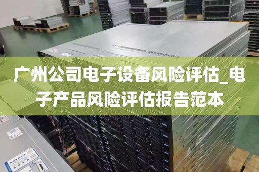 广州公司电子设备风险评估_电子产品风险评估报告范本